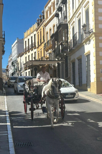 ab Marbella: Private VIP-Tour Ronda incl. Transfer + Tapas - Getting there from Marbella: transfer comfort and what can change
