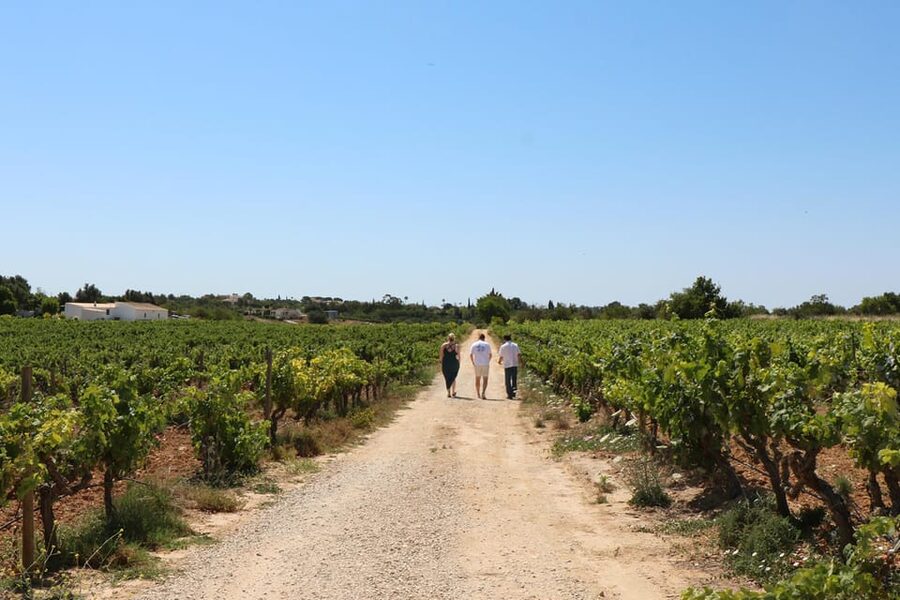 Albufeira/Porches/Vilamoura: Wine Tasting with Tapas & Music - Entering the Algarve estate: finding the gate and walking to the tasting room