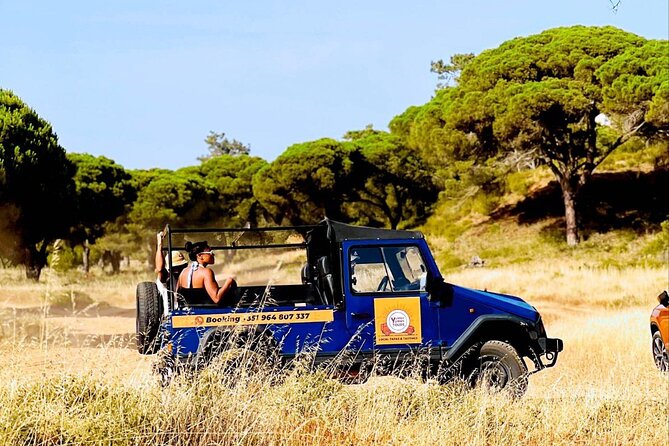 Albufeira Tour with Local Tapas and Tasting - Your afternoon in Albufeira: tapas, cliffs, and a family farm
