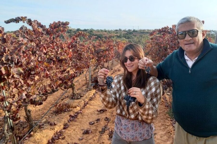 Albufeira/Vilamoura: Winery Tour with Wine Tasting and Tapas - Quick Takeaways (Worth Noting Before You Go)
