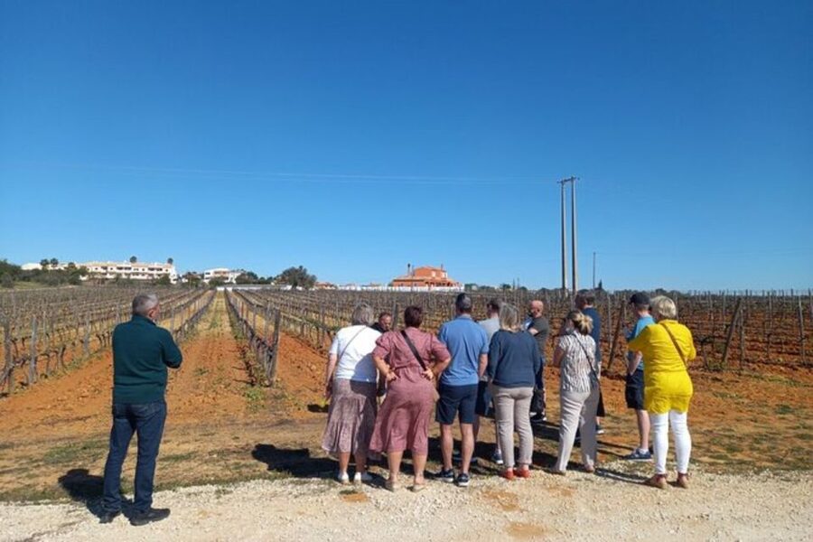 Albufeira/Vilamoura: Winery Tour with Wine Tasting and Tapas - Pastel de Nata and Almond Firewater: The Right Kind of Finale