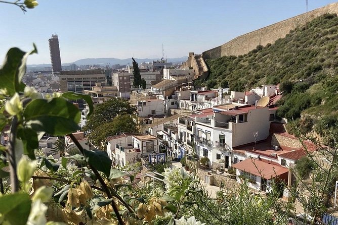 Alicante Historic Small Group Tour with Tapas Tasting - The tapas finish: what’s included, and why it’s not a full tapas tour