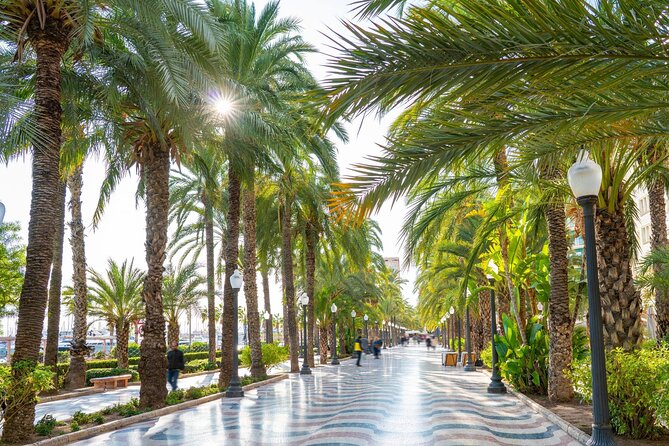 Alicante Tour: Full City, Castle, Market & Tapas Experience - Casa Carbonell and Alicante’s bold old ambition