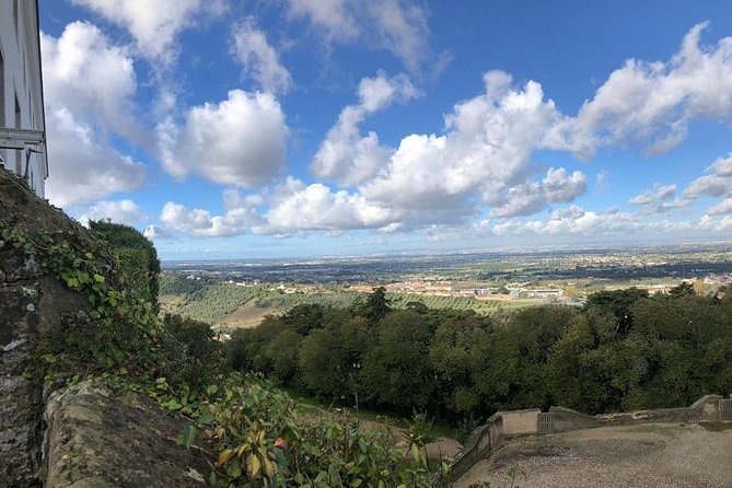 Arrábida Palmela Azeitão Private Tour - W/ Wine Tasting & Tapas - Key Highlights You’ll Actually Feel
