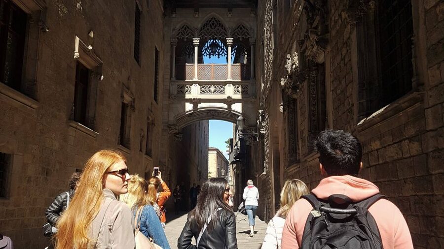 Barcelona: 4-Hour Tapas Evening Tour and Flamenco Show - Who This Tour Suits Best (and Who Might Want a Different Plan)