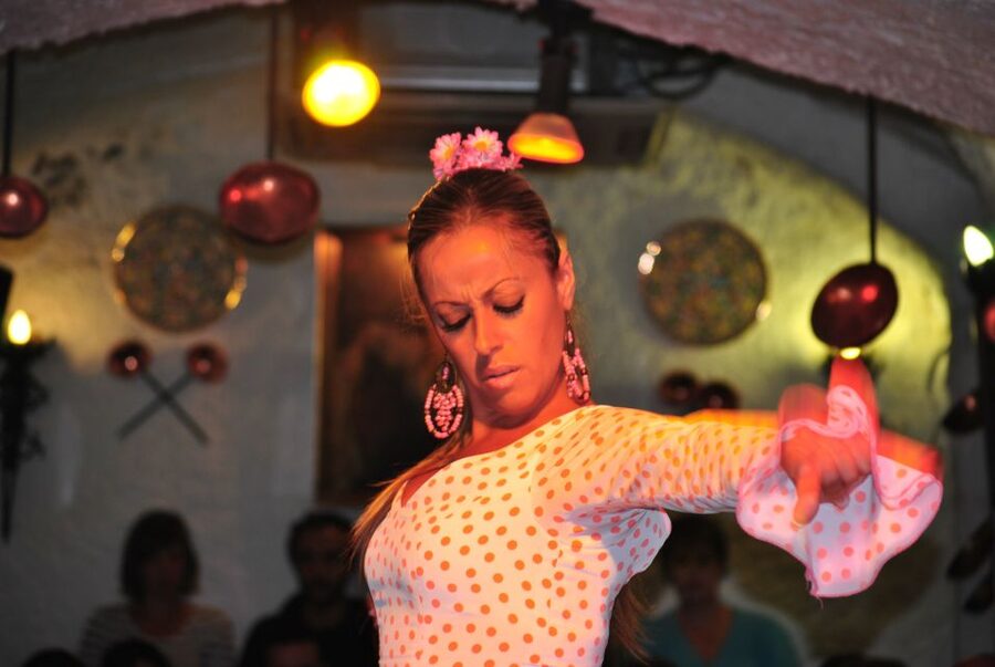 Barcelona: City Tour & Flamenco Show with Wine & Tapas - Value and pacing: what you really get for about $141