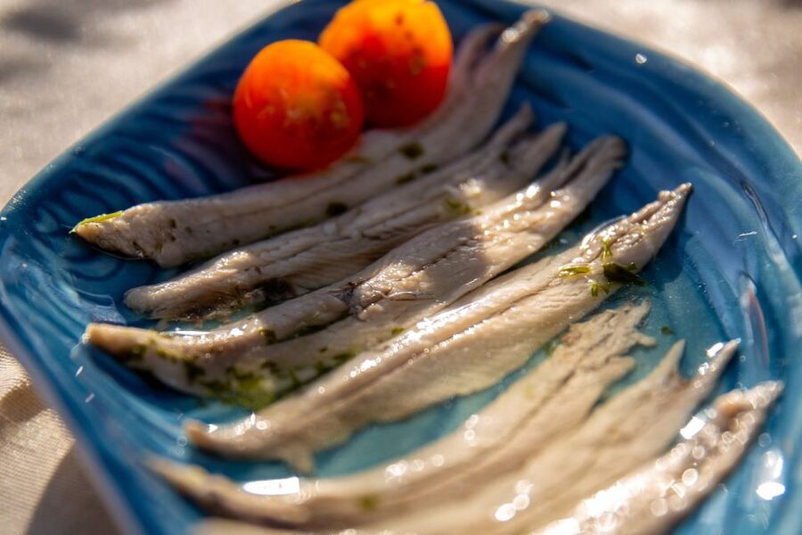 Barcelona: Local Tapas and Drinks Sailing Adventure Tour - On-water options: swimming and paddleboarding in summer