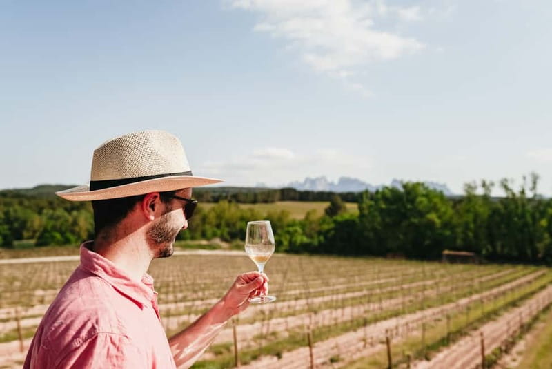 Barcelona: Montserrat and Winery Tour with Tapas or Lunch - Who This Tour Suits Best (and Who Should Rethink It)