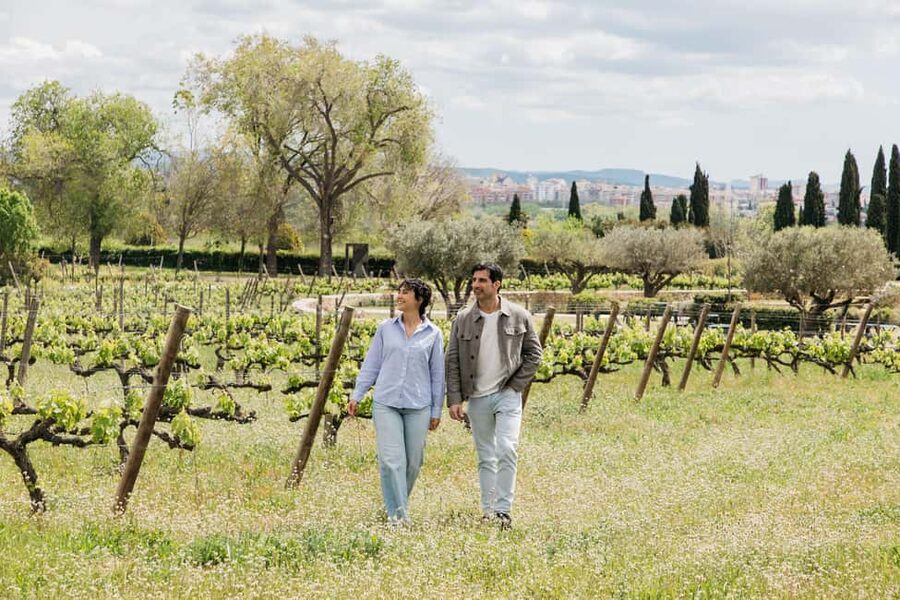 Barcelona-Penedès: Familia Torres wine & tapas winery tour - Torres Family Start: Get Your Bearings Fast (Then Drink)
