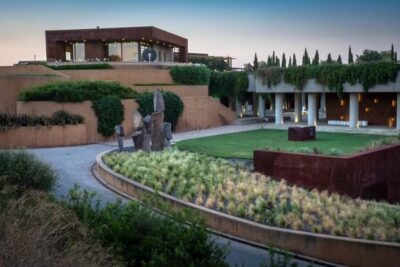 Barcelona-Penedès: Familia Torres wine & tapas winery tour - Mas La Plana Vineyard Walk: Regenerative Vines, Not Just Pretty Rows