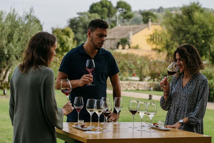 Barcelona-Penedès: Familia Torres wine & tapas winery tour - The Solar-Electric Train Ride: A Small Wow Moment with Purpose