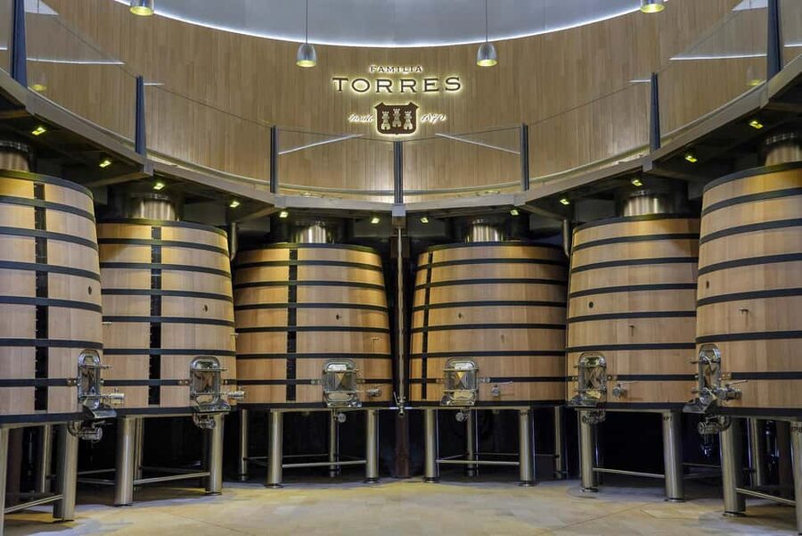 Barcelona-Penedès: Familia Torres wine & tapas winery tour - Four Wines and Four Tapas: Pairing That Teaches Your Taste