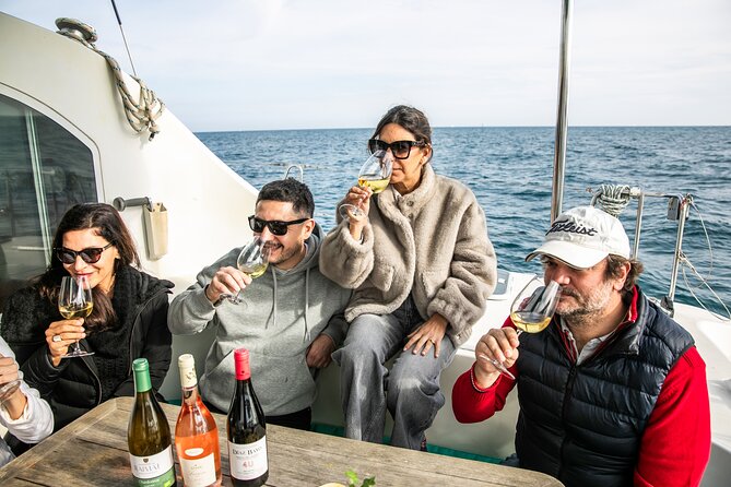 Barcelona: Premium Private Wine Tasting & Tapas in a Catamaran - Price and Value: Is $325.46 Reasonable for a Private Sail?