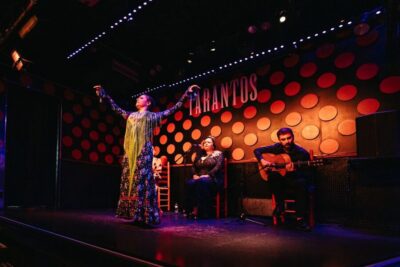 Barcelona: Tapas and Flamenco Experience - The Flamenco Show: 30 Minutes (or So) of Raw Energy
