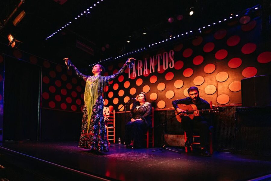 Barcelona: Tapas and Flamenco Experience - The Flamenco Show: 30 Minutes (or So) of Raw Energy