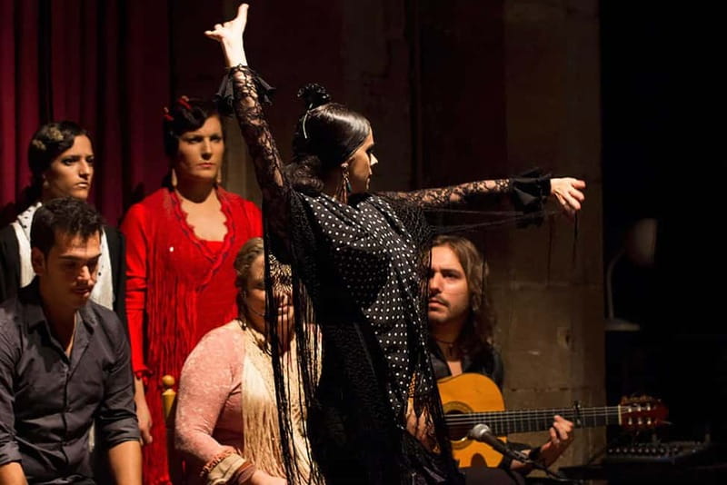 Barcelona: Tapas and Wine with Flamenco Show in the Old Town - Should you book this Barcelona tapas and flamenco tour?