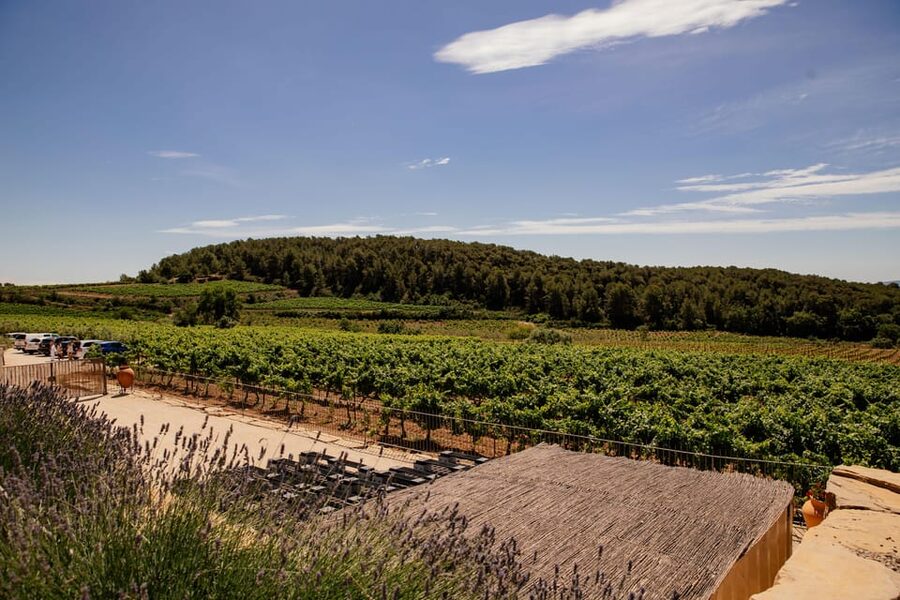 Barcelona: Vineyard Horseback Riding & Wine Tasting + Tapas - Timing and energy: how a 6-hour day stays fun instead of tiring