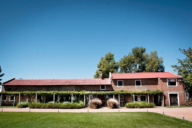 Bouza Winery Tastings and Tapas (Esp, Eng, Port) - Bouza Bodega Boutique: vineyards, cava, and the car-collection twist