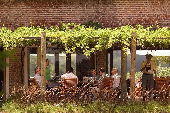 Bouza Winery Tastings and Tapas (Esp, Eng, Port) - Should you book Bouza Winery Tastings and Tapas?