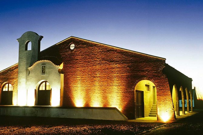 Bouza Winery Tastings and Tapas (Esp, Eng, Port) - Wine tastings and tapas pairings: what’s included and why it matters