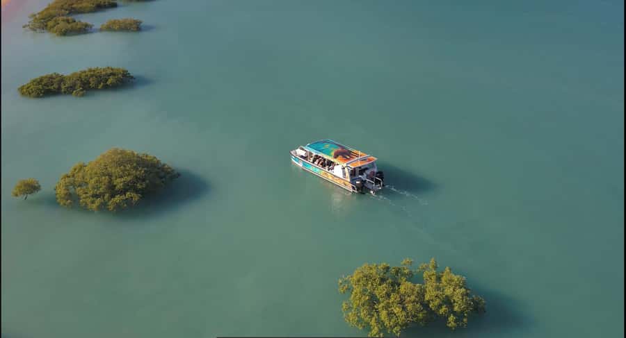 BROOME: DINOSAUR ADVENTURE CRUISE - With Tapas and Cocktail - Who this tour fits best (and who might bounce)