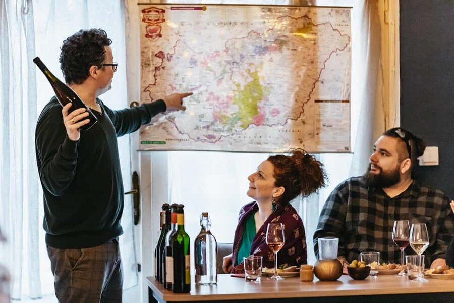 Budapest: Hungarian Wine Tasting with 7 Wines and Tapas - The Hungary wine regions lesson: a map that actually helps