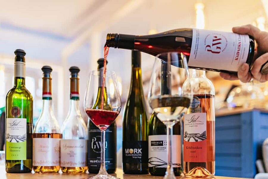 Budapest: Hungarian Wine Tasting with 8 Wines and Tapas - The red wine lineup: furmint, kadarka, and Bull’s Blood