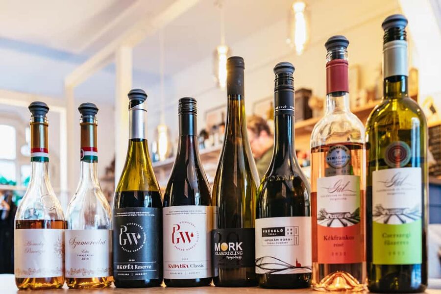 Budapest: Hungarian Wine Tasting with 8 Wines and Tapas - The tapas pairing: olives, ham, sausages, tomatoes, and cheeses