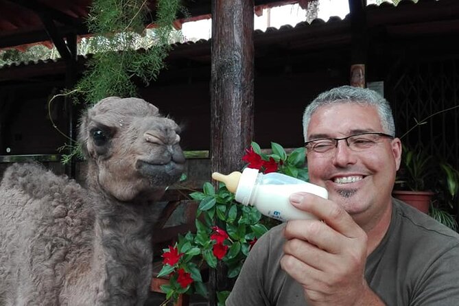 Camel Ride in Fataga with Tapas and drinks - Arriving at Camel Safari Park La Baranda (and Finding the Spot)