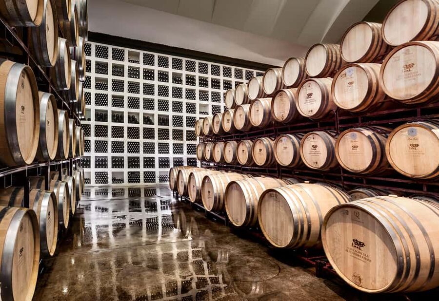 Casa Relvas, Évora - Visit to the Winery with Tasting of Portuguese Grape Varieties and Tapas - Start at reception: terroir and property context before the wine smell hits