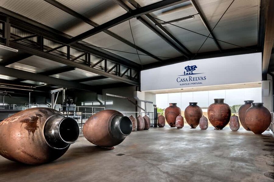 Casa Relvas, Évora - Visit to the Winery with Tasting of Portuguese Grape Varieties and Tapas - The winery production tour: watching grapes turn into wine