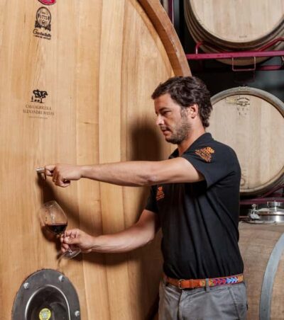 Casa Relvas, Évora - Visit to the Winery with Tasting of Portuguese Grape Varieties and Tapas - Guide quality and pacing: why the best part is how you’re treated