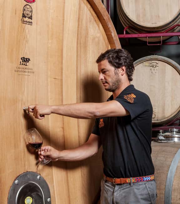 Casa Relvas, Évora - Visit to the Winery with Tasting of Portuguese Grape Varieties and Tapas - Guide quality and pacing: why the best part is how you’re treated