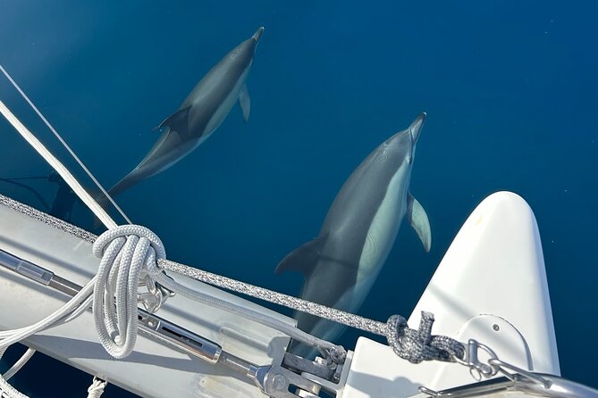 Catamaran Sailing Experience Manilva Tapas Drink Dolphins Swim Stop - Key things worth knowing before you go