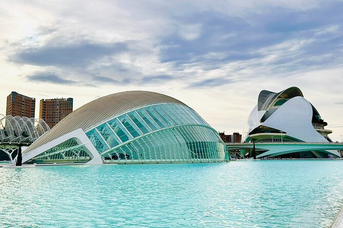 City of Arts & Sciences Tour with Rooftop Tapas & Wine - Key things that make this experience worth your time