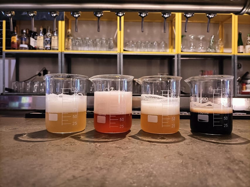 Craft Beer Tasting and tapas in Valencia - The beer tasting: sours, IPAs, and stouts, explained in everyday terms