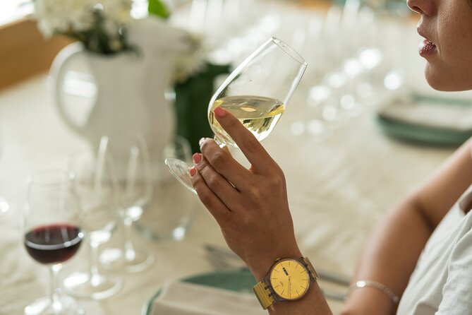 Discover Argentine Wines Paired with Delicious Tapas - A cozy Buenos Aires wine tasting where the food keeps pace