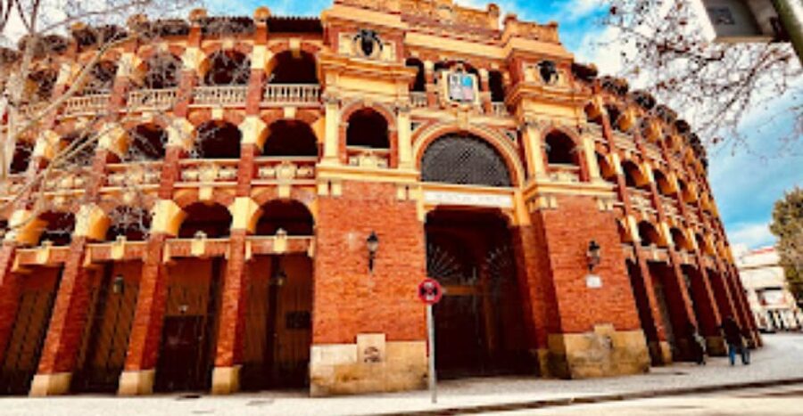 Discover Zaragoza: Complete tour + wine and tapas - Basilica del Pilar tower views: the elevator ride you’ll remember