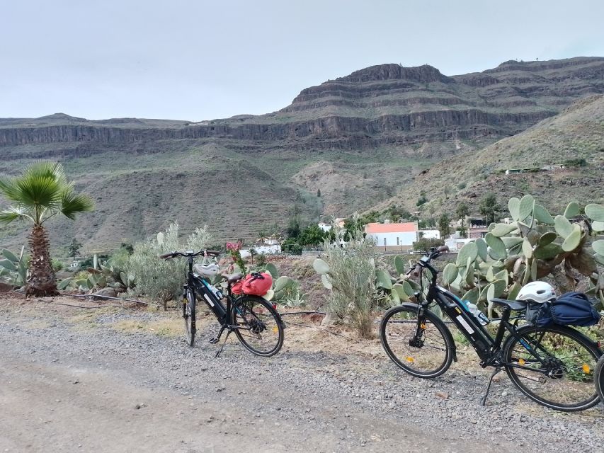 E-Bike Mountain Tour in Natural Park +Option Tapas in a Cave - Crossing Ayagaures Valley: palms, cacti, and native Canarian plants