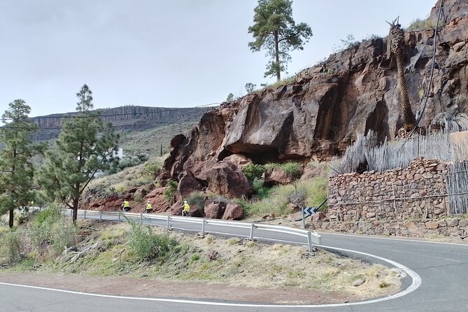 e-Bike Mountain Tour inside a Natural Park+option Tapas in a Cave - Parque Urbano del Sur: green in the middle of the city