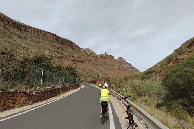 Electric Bike Panoramic South Coast Tour Optional Fishing Tapas - Botanical Park stop: tropical plants in a quick guided walk