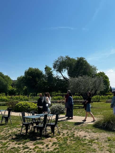 Familia Torres Winery: Gastronomic Tapas & Wine Experience - Price and value: is $147 for 5 hours fair?