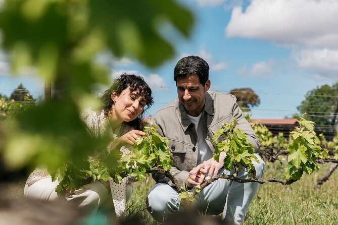 Familia Torres Winery: Gastronomic Tapas & Wine Experience - How the day starts: Barcelona to Penedès with a real guide