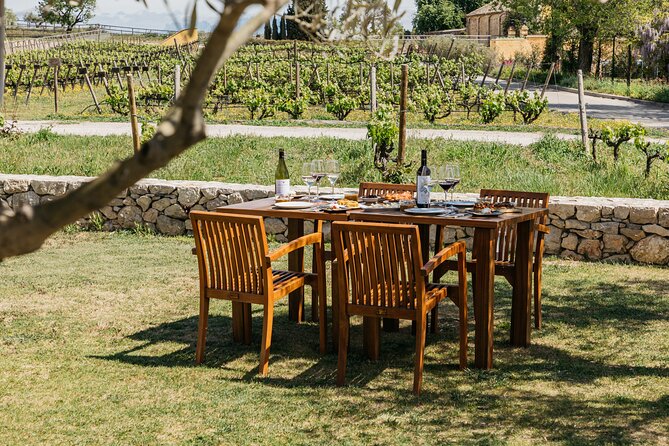 Familia Torres Winery: Gastronomic Tapas & Wine Experience - The Waltraud winery tour: eco-friendly design you can actually see