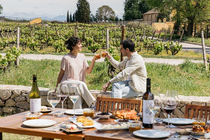 Familia Torres Winery: Gastronomic Tapas & Wine Experience - 45 minutes to shop: what to do with it