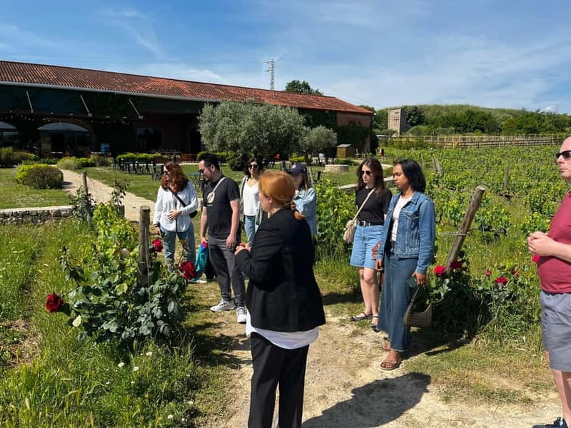 Familia Torres Winery: Gastronomic Tapas & Wine Experience - Who this tour suits best (and who should skip it)