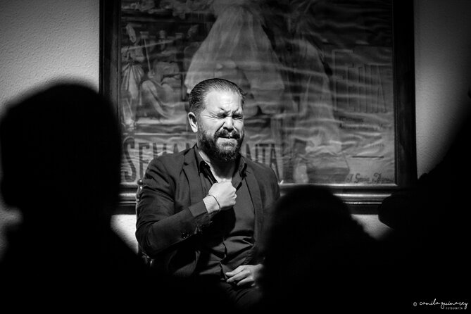 Flamenco Show in Seville at Bar and Tapas - Who Should Book This Flamenco Night (and Who Might Skip)