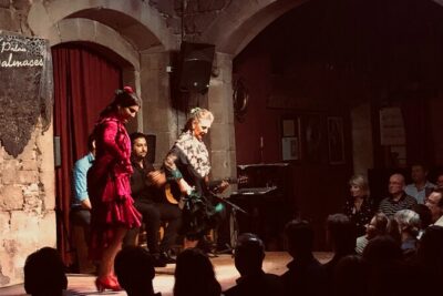 Flamenco show & tasting Tapas with panoramic views in Madrid - Mercado la Cebada: market time without the overwhelm