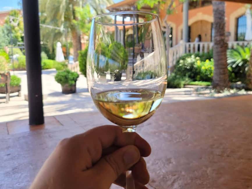 From Alicante: Winery Tour and Wine Tasting with Tapas - Key things to know before you go