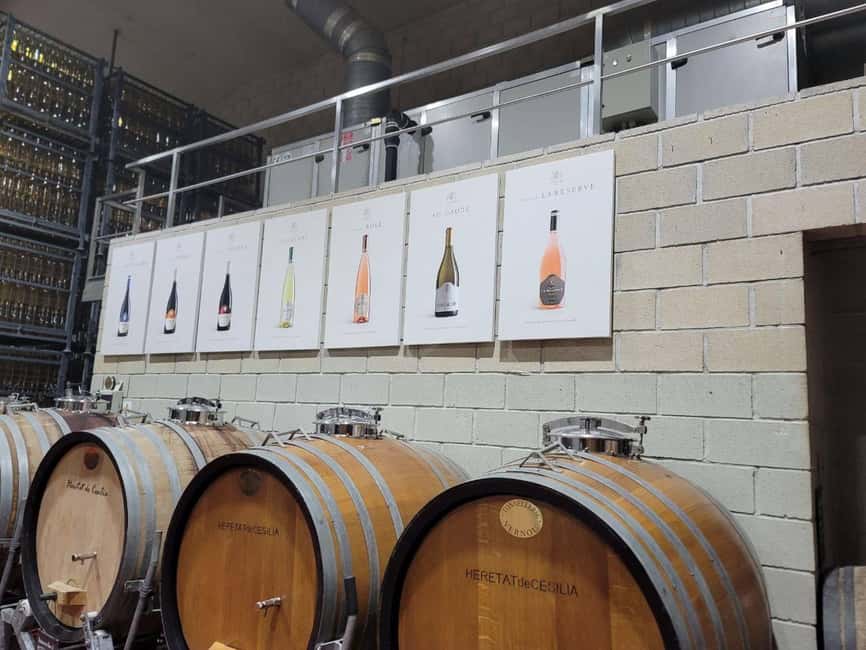 From Alicante: Winery Tour and Wine Tasting with Tapas - Getting from Alicante to a real winery day in 3 hours